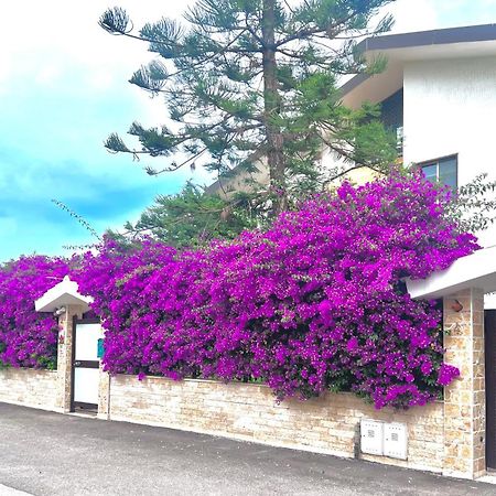 Apartamento tulipano rosso Bari Exterior foto