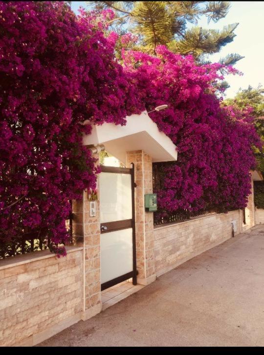 Apartamento tulipano rosso Bari Exterior foto