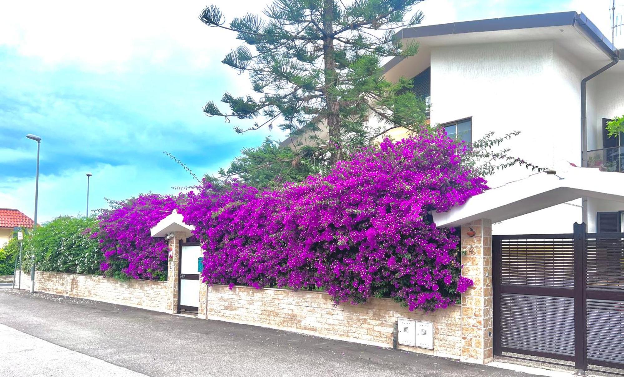 Apartamento tulipano rosso Bari Exterior foto